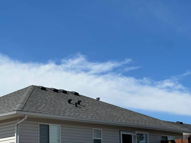 Best Wood Shake Roofing  in Forsyth, MT